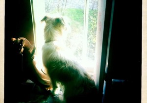 Boutique bijoux garden flat in vibrant Oval