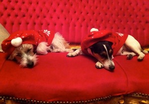 Boutique bijoux garden flat in vibrant Oval