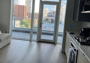 Brand New Modern Gold Coast Studio Steps away from the redline! HUGE Balcony!