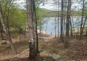 Breeze-Lakefront-Close to Pool & Marina! Very Nice Spacious Home-3 Decks