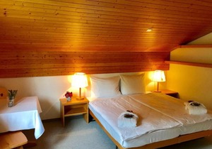 Breil Apartment Sleeps 5 Pool WiFi