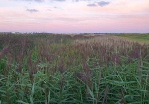 Bright Family Cottage by Kelstrup Beach