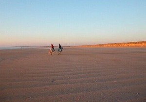 Bright house in typically Breton seaside village
