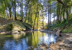 By The River - RV Masoods Lodge Boulder Creek, CA