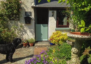 Cabin ∙ 2 bedrooms ∙ 4 guests