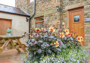 Cabin ∙ 2 bedrooms ∙ 4 guests