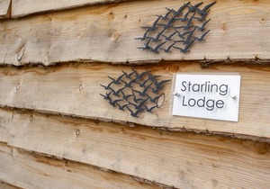 Cabin ∙ 3 bedrooms ∙ 6 guests