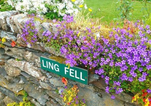 Cabin ∙ 3 bedrooms ∙ 5 guests