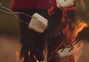 Cabin #3 - Black Hills Farmhouse