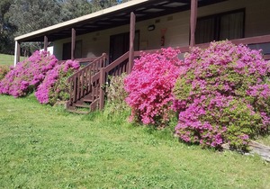 Cabin 3-Emerald Park