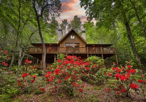 Cabin ∙ 4 bedrooms ∙ 8 guests