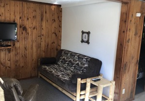 Cabin 5 Family/Pet Friendly Resort Amenities Dock Fishing Beach Resort Amenities