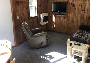 Cabin 5 Family/Pet Friendly Resort Amenities Dock Fishing Beach Resort Amenities
