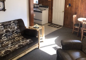 Cabin 5 Family/Pet Friendly Resort Amenities Dock Fishing Beach Resort Amenities