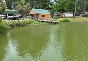 Cabin 52 at Tranquility Bay Resort