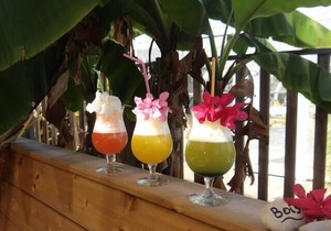 Camping Le Bois Verdon *** - Mobile Home O'HARA 3 Rooms 2/4 People