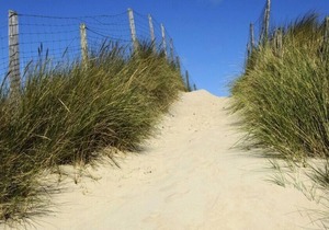 Camping Le Phare * - Mobile Home 3 Rooms 5 adults + 1 child