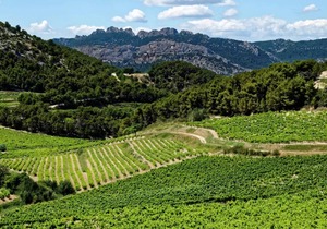 Camping maeva Escapades La Pinède en Provence *** - Mobile Home Origan 3 Rooms 4 People