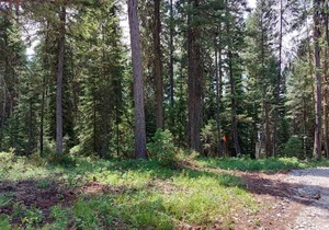 Campsite #4 with Lake Access