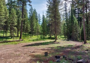 Campsite #4 with Lake Access