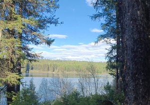 Campsite #6 with Lake Access