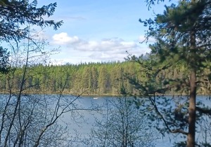Campsite #6 with Lake Access