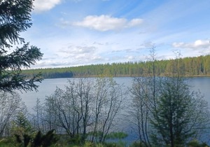 Campsite #6 with Lake Access