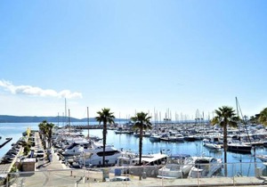 Cavalaire : Appartement 2 Pièces, à 300m Plage, Clim, Balcon - FR-1-226B-331