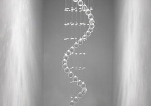 Central Ashford Stay for All