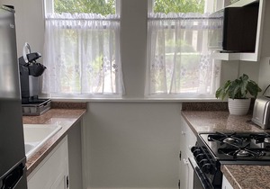 Central Austin Bungalow! Close to Everything!