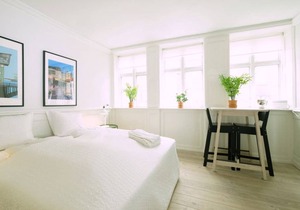 Central Canal Apartment Cph 3