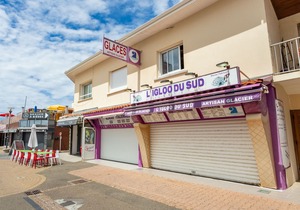 Central Studio with Mezzanine Near Beach