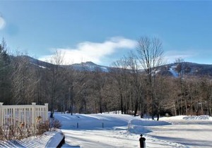 Centrally located two bedroom two bathroom Ski home Whiffletree I6