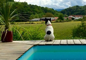 Chalet 4 (Sleeps 2, 1 Bedroom)