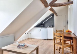 Charming 1 Bedroom Apt in the Heart of Paris (6F)