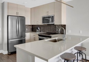 Chic Five Points 1BR w/ W/D, Gym & Roof Lounge, near RiNo, by Blueground