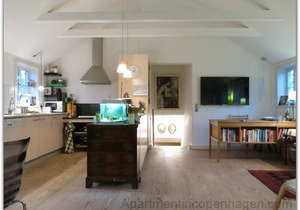 City Apartment in Copenhagen with 2 bedrooms sleeps 3