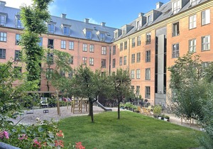 City Apartment in Copenhagen with 1 bedrooms sleeps 2