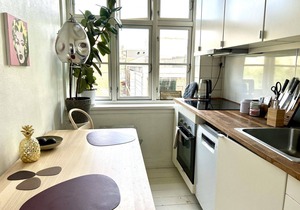 City Apartment in Copenhagen with 1 bedrooms sleeps 2