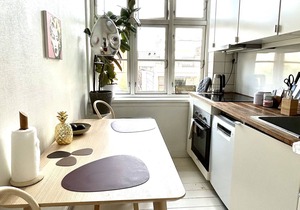 City Apartment in Copenhagen with 1 bedrooms sleeps 2