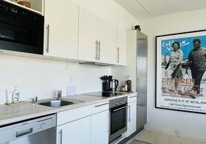 City Apartment in Copenhagen with 1 bedrooms sleeps 2