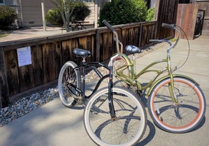 Classic Beach House - Walk to Seacliff Beach