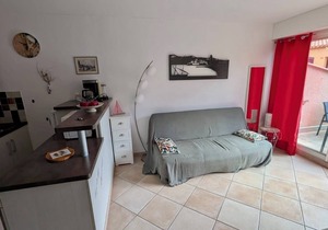 Collioure apartment with large sunny terrace - Air conditioning - Private parking
