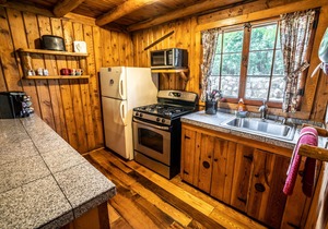 Colorado Bear Creek Cabin 5