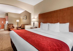 Comfort Suites North Dallas