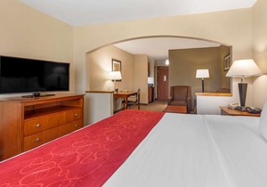 Comfort Suites North Dallas