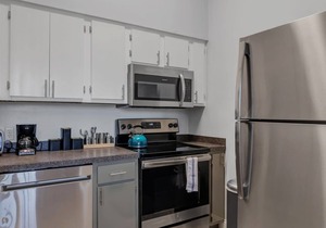 Comfy 2 BR apt with bunk beds - very pet friendly!