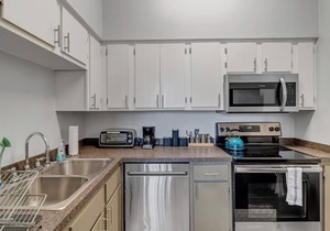 Comfy 2 BR apt with bunk beds - very pet friendly!