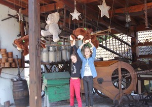 Comfy chalet with a dishwasher, in the High Vosges