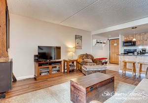 Completely Renovated, Immaculate Condo. Steps Away from Downtown TE105